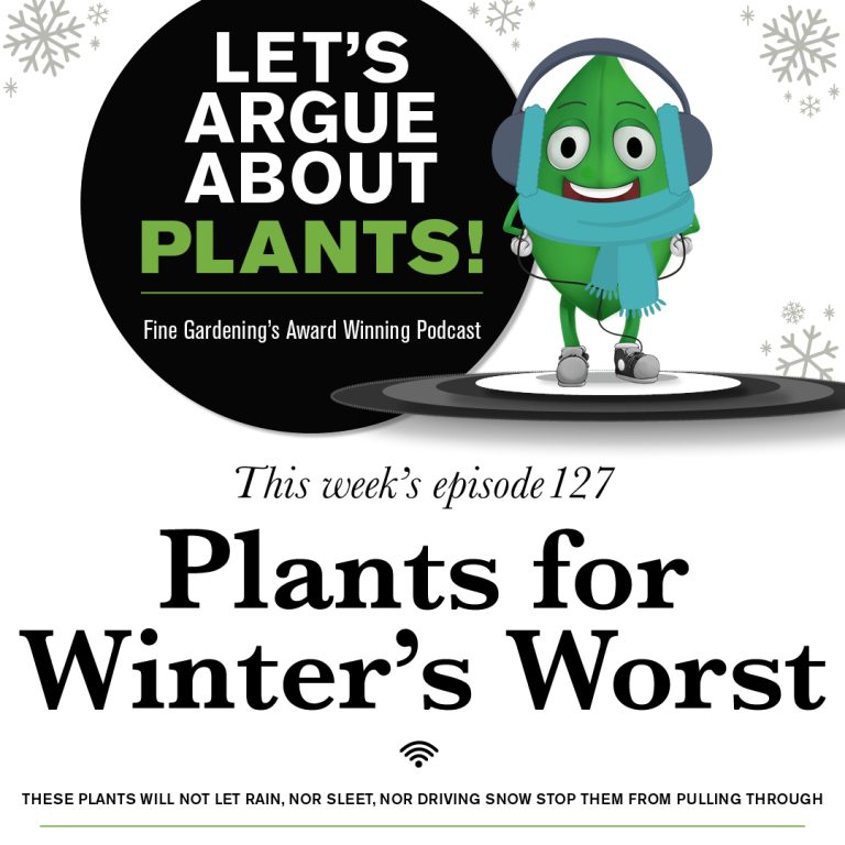 Episode 127: Plants for the Worst of Winter