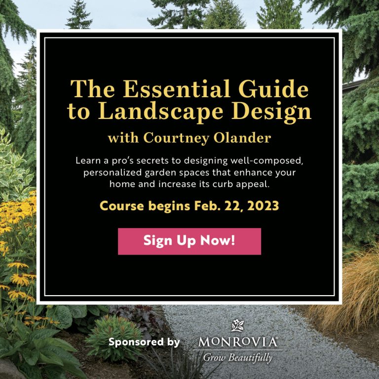 Growing Knowledge: The Essential Guide to the Landscape Design Course with Courtney Olander