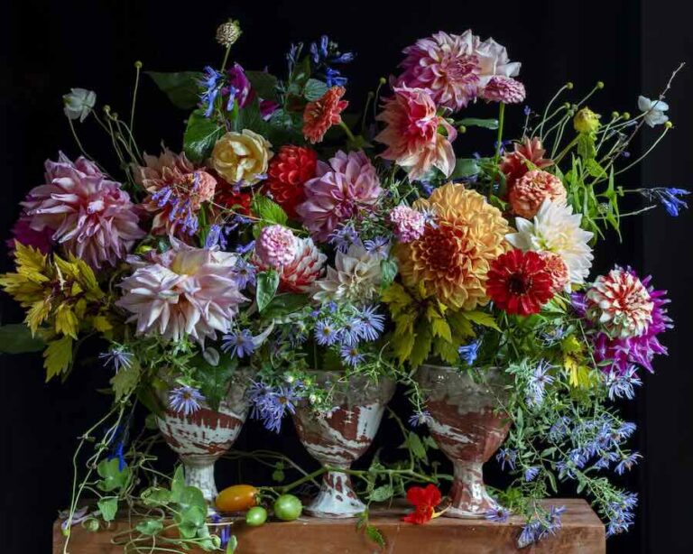 dahlias galore, with ceramic artist frances palmer