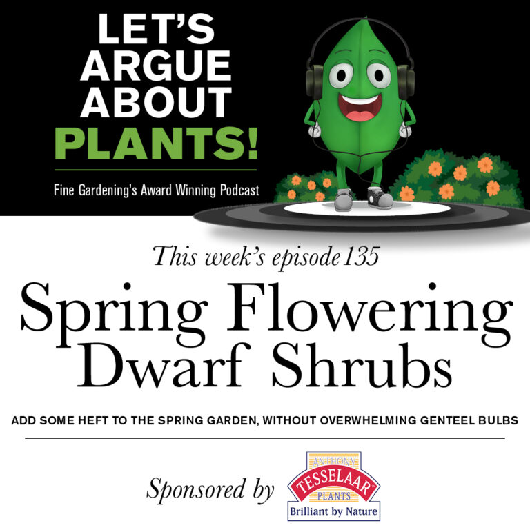 Episode 135: Spring Flowering Dwarf Bushes