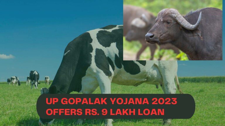 Apply now and get a loan of Rs 9 Lakh.