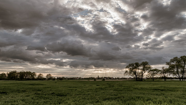 Farmers call the September rain Amrit Sanjivani, because of this.