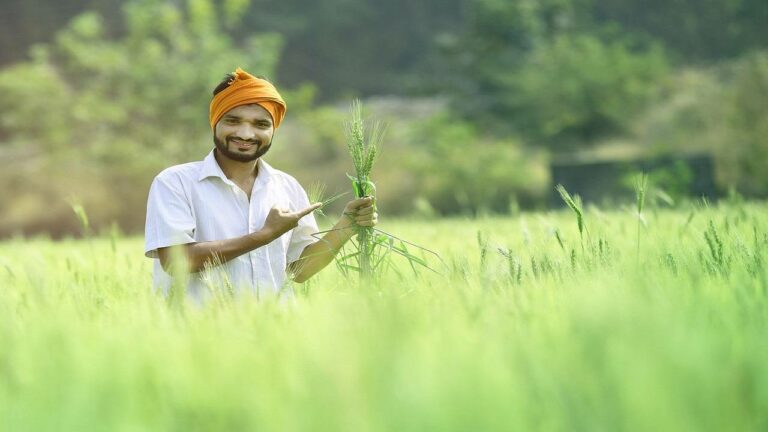 Haryana Crop Protection Yojana Applications Open, Farmers Can Get Rs 30000 Per Acre Financial Assistance