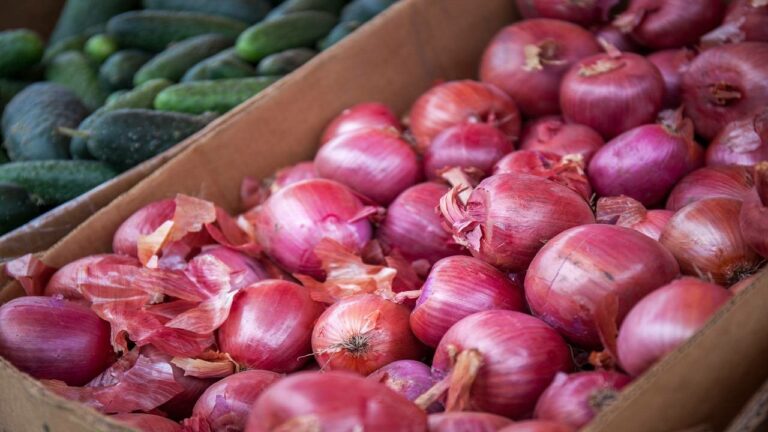 Onion traders have announced an indefinite strike in Nashik against the government’s policies.