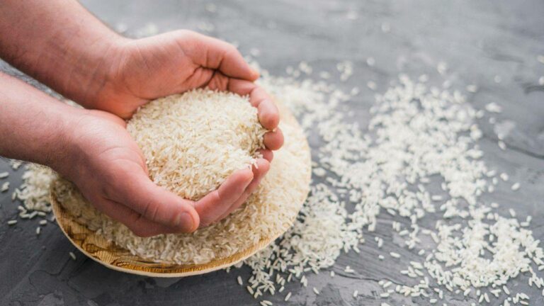 ‘Rice export ban is no food security ban’, says India at WTO meeting
