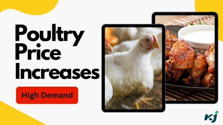 Increase in price of poultry due to high demand