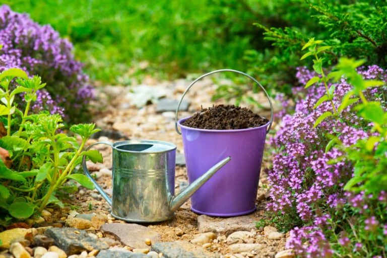 8 Best Composts to Buy in India for Flowering Plants, Vegetables, and Lawn