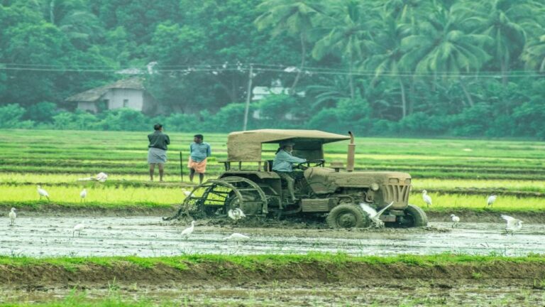 Major challenges faced by farmers in India and their solutions