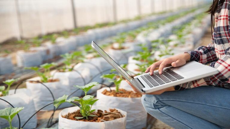 Farmers can increase crop yields using data science, here’s how to apply.